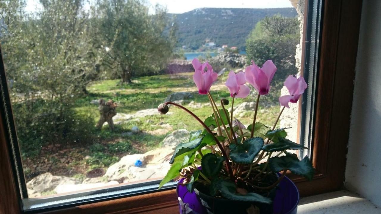 Holiday Home Strpuncina Luka  エクステリア 写真